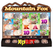 Xpbet Paga